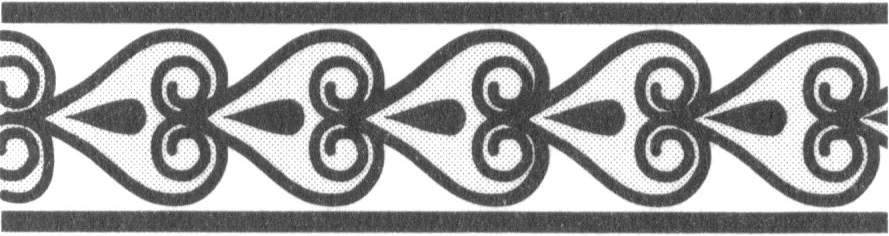 Translationen, eine L&auml;ngs-Spiegelung und Schub-Spiegelungen